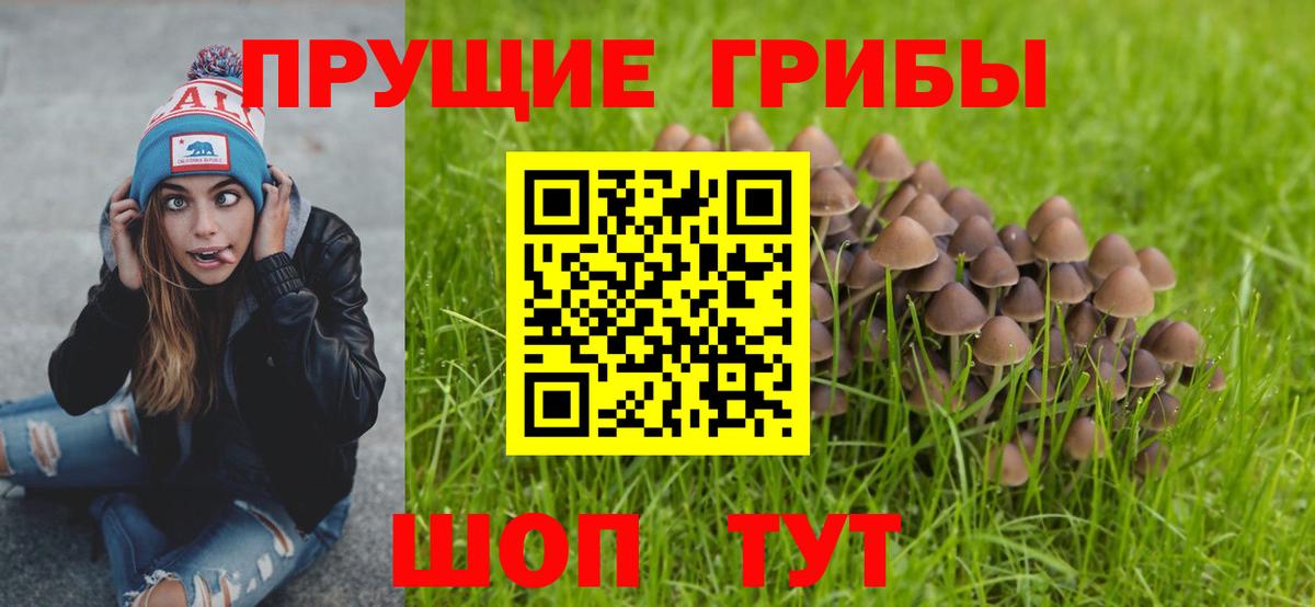 Псилоцибиновые грибы Psilocybine cubensis  Галлюциногенные грибы мухоморы  Алушта  Вход с VPN 