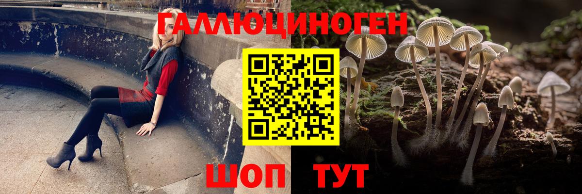 Галлюциногенные грибы GOLDEN TEACHER Алушта